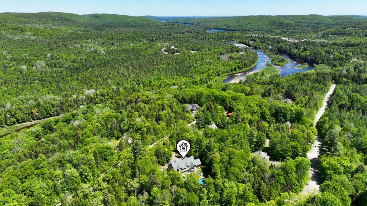Vue aérienne montrant l'ensemble du terrain boisé