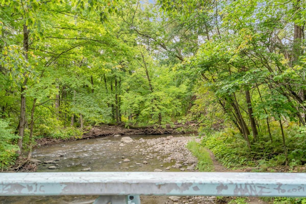 Sentier du parc naturel à proximité