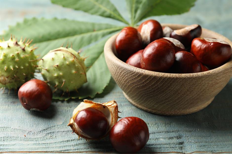 Marrons, Nre AFrica Shutterstock
