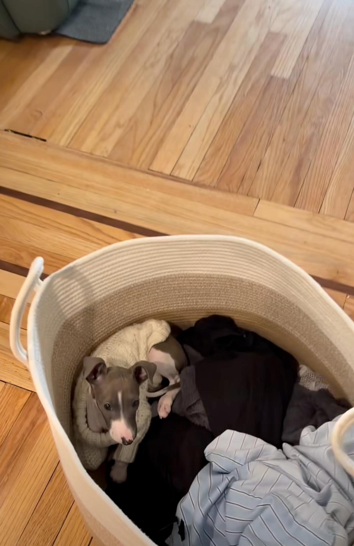 Le nouveau compagnon d'Éléonore Lagacé