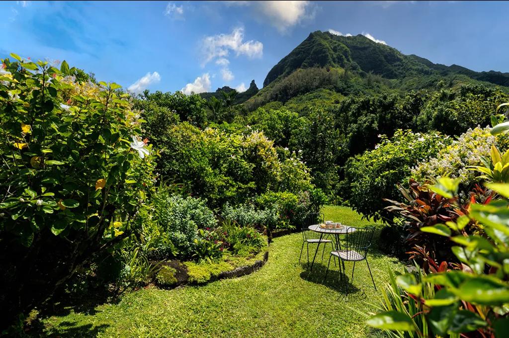 Jardin Hawaii Julia Roberts