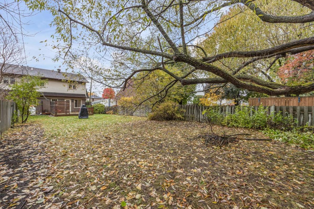 Coin jardin