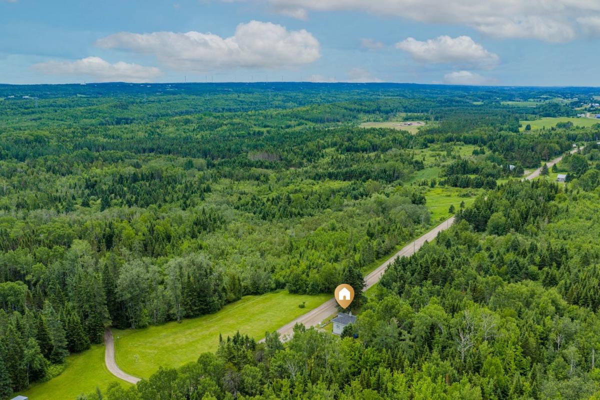 La propriété dans son écrin de verdure