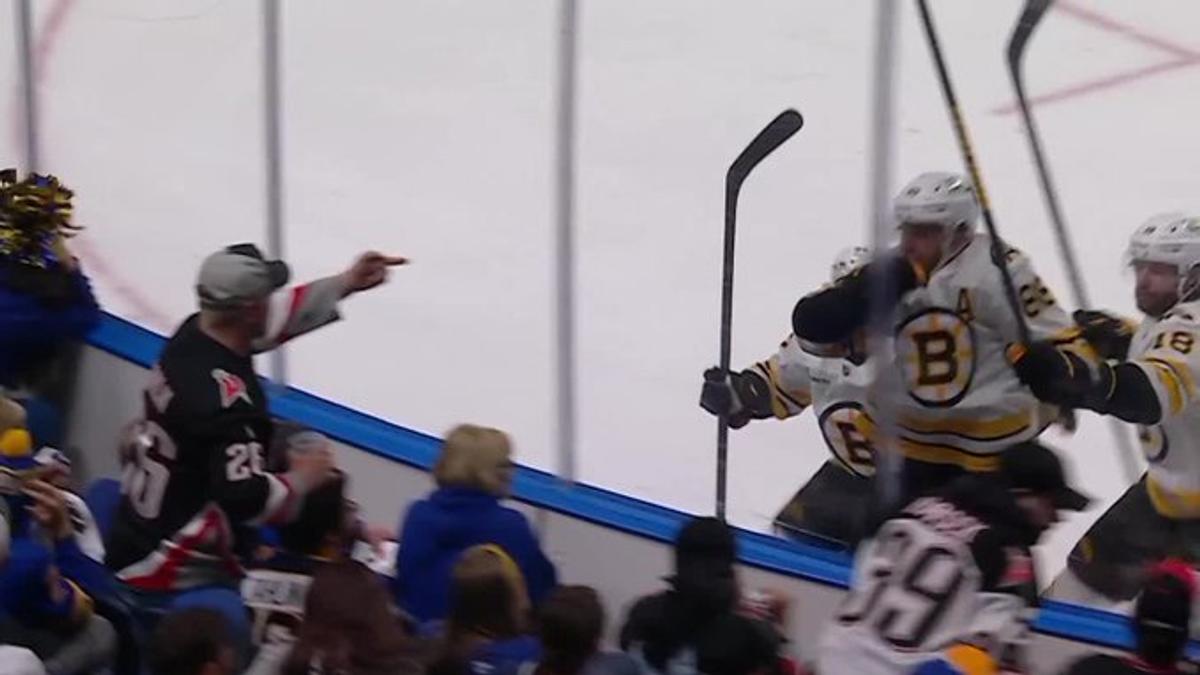 David Pastrnak