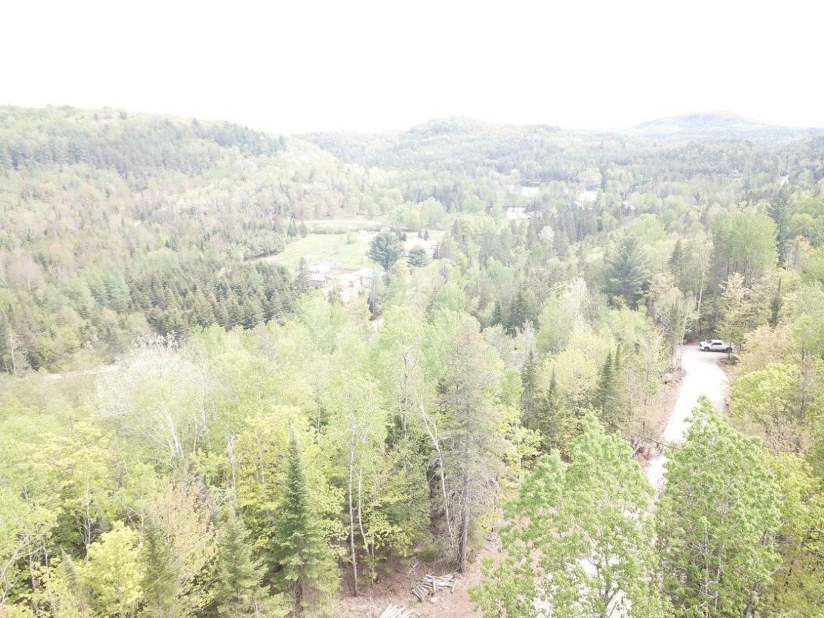 Clairière naturelle au milieu du boisé