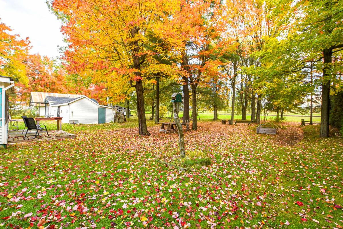 Perspective sur l'arrière de la propriété