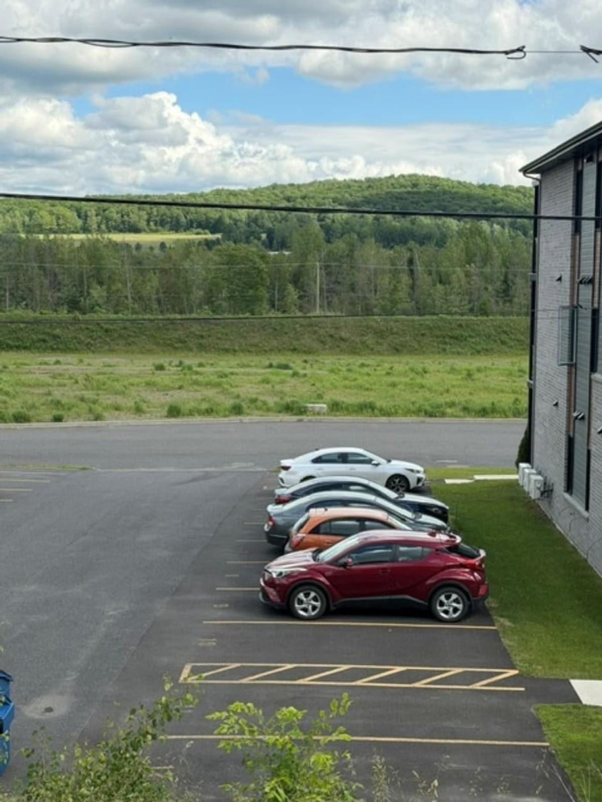 Extérieur et aménagement du terrain