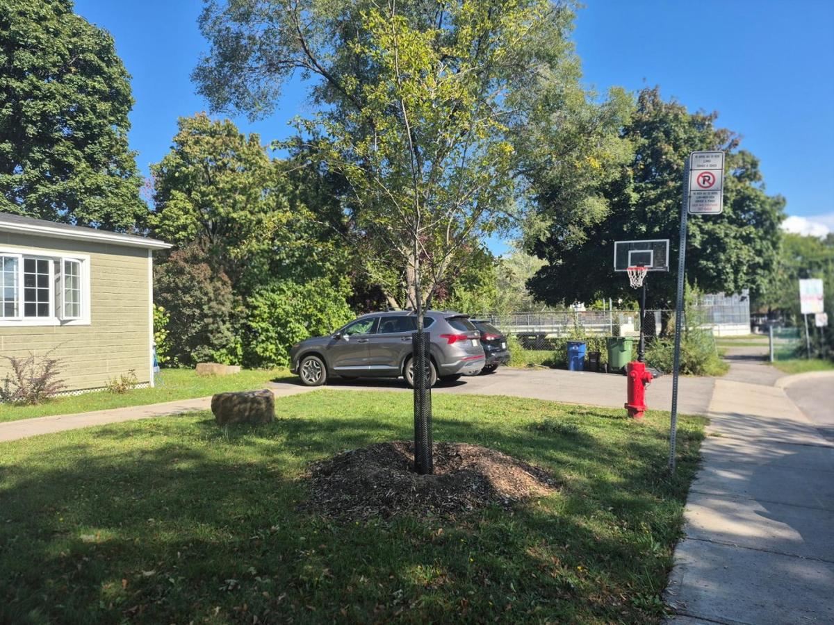 Détail extérieur de la propriété