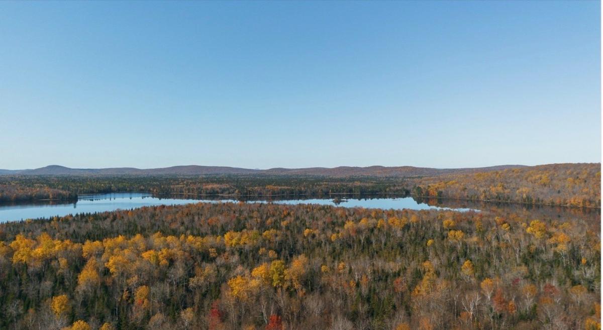 Vue aérienne du lac et des environs boisés