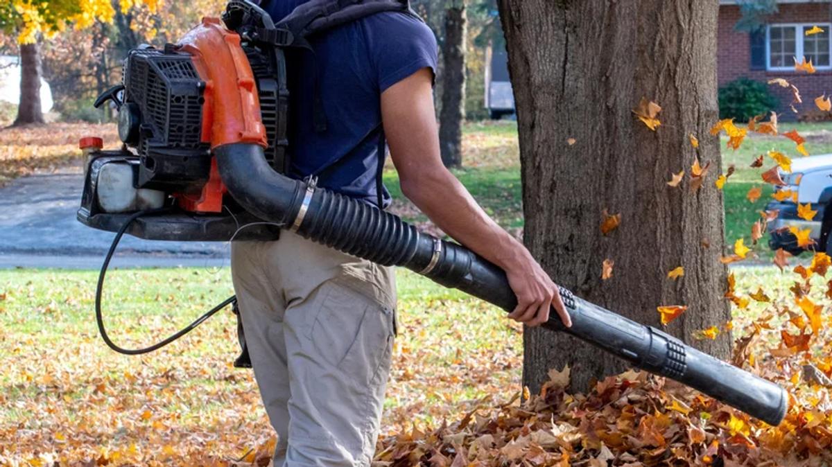 Souffleur à feuilles