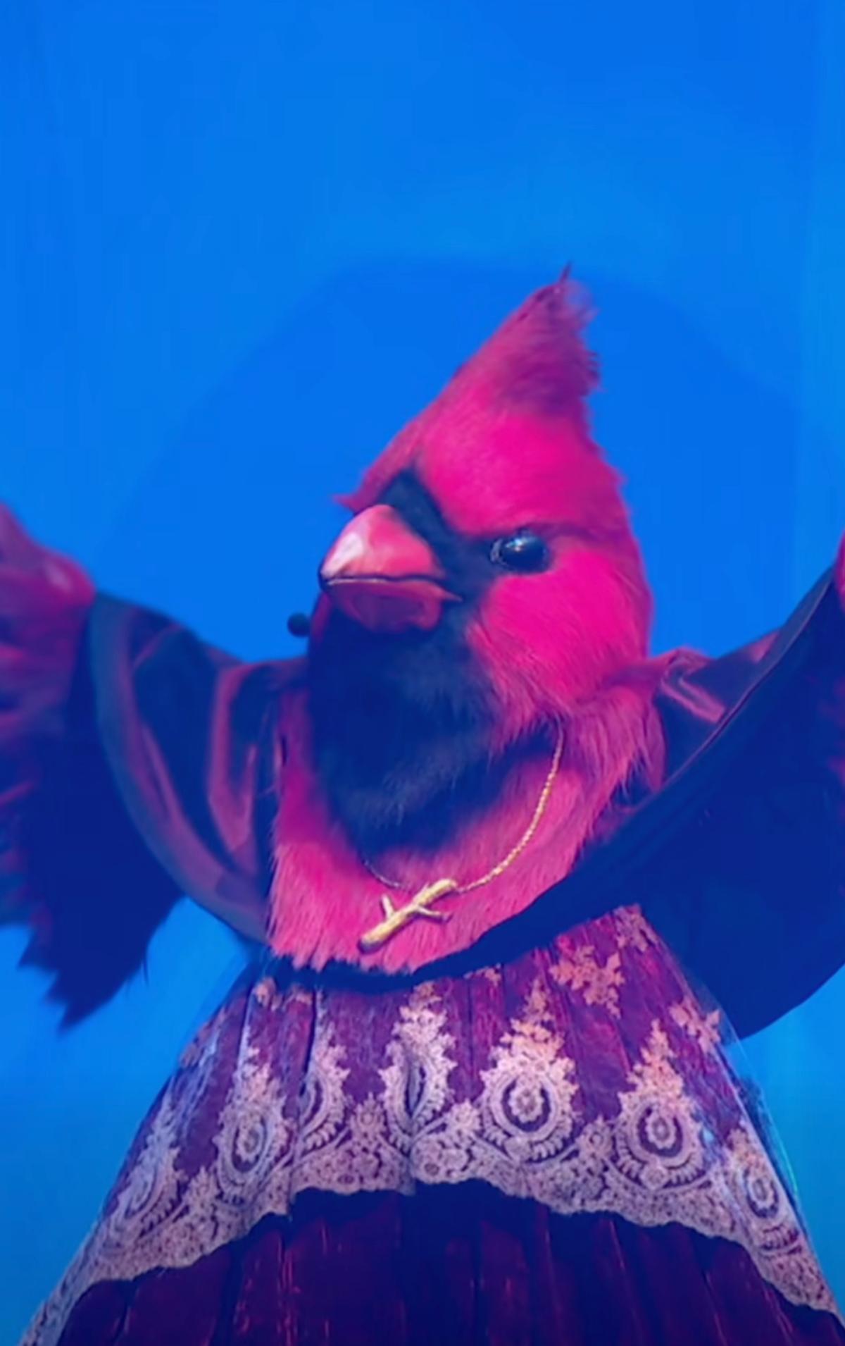 Le Cardinal à Chanteurs Masqués