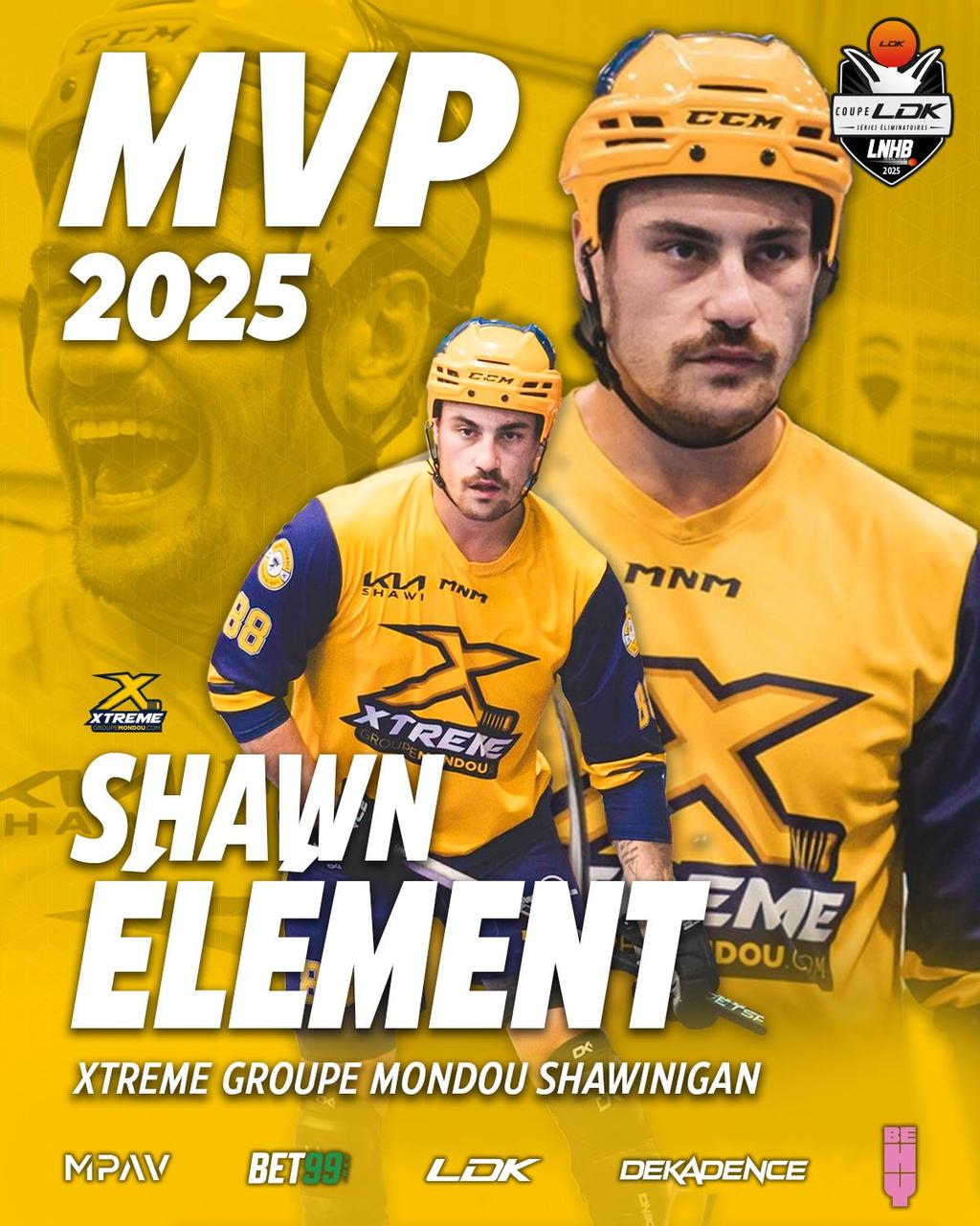 Shawn Element