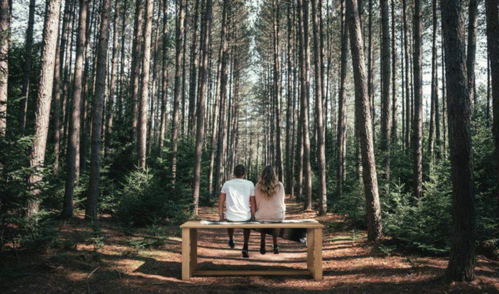 Coupole forêt, Woodstock & cie