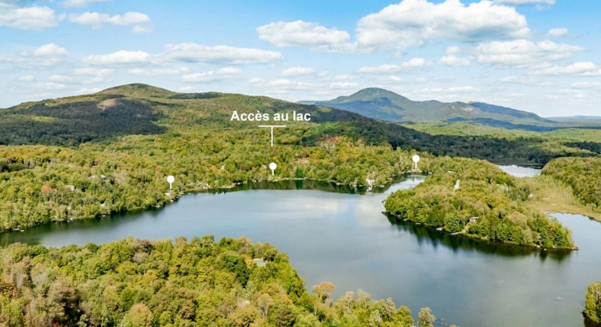 Immobilier