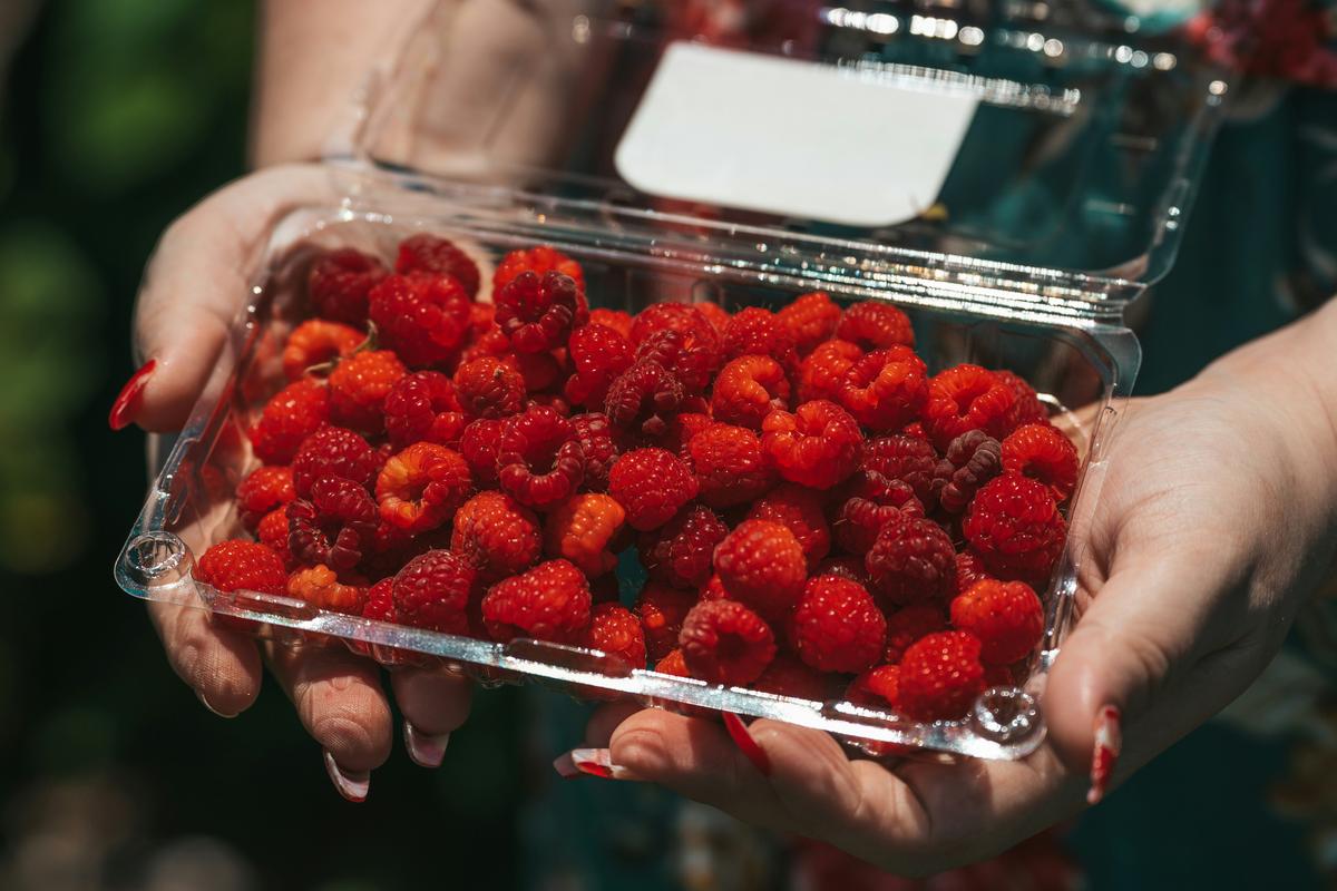 Casseau de framboises