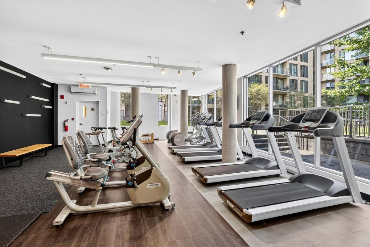 Salle d'exercice bien équipée