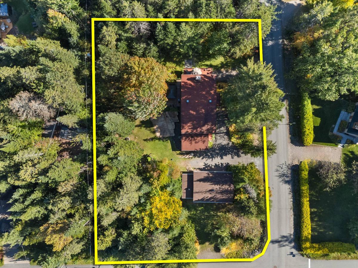 Immobilier