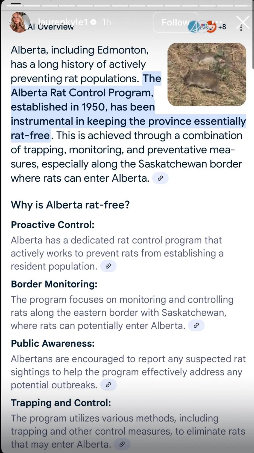 Lauren Kyle McDavid posted on Instagram. Instagram