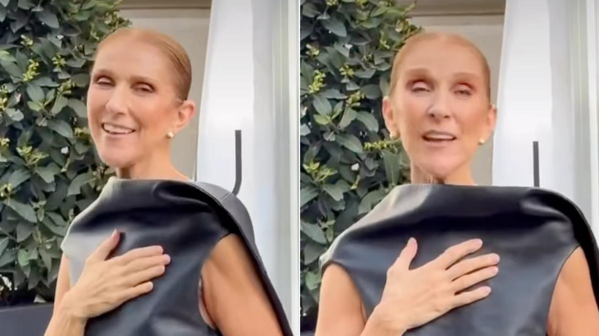 Céline Dion chante et danse devant son hôtel à Paris