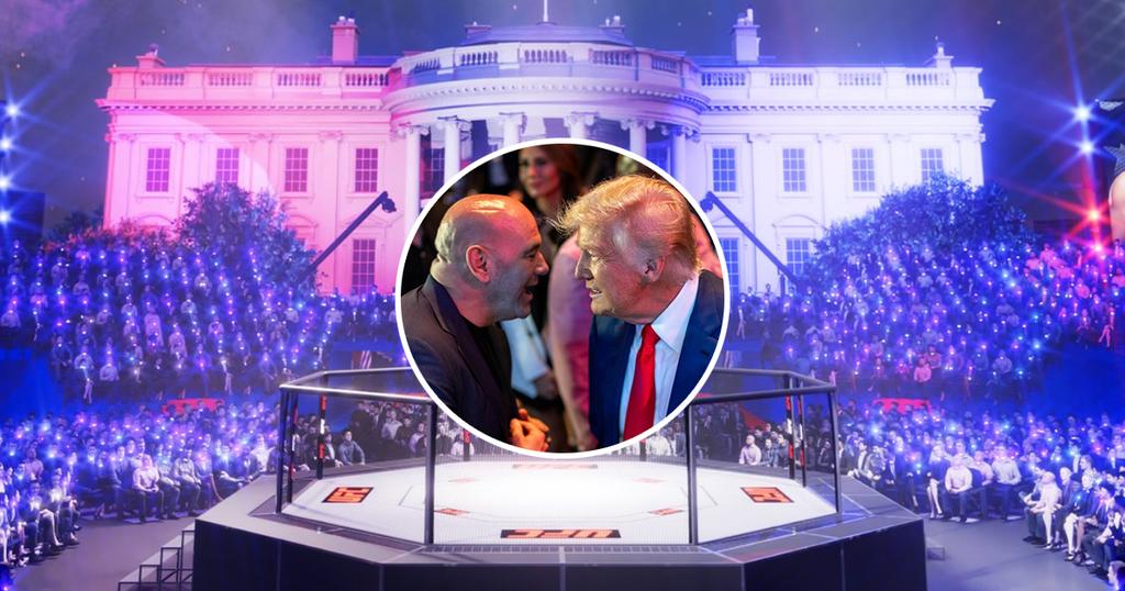 UFC