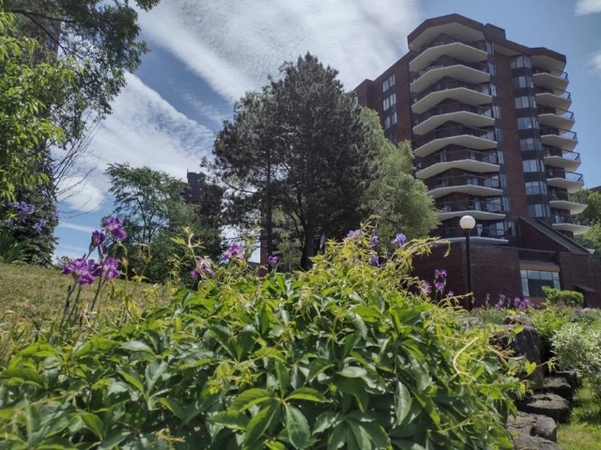 Immense terrasse privée avec vue sur la rivière