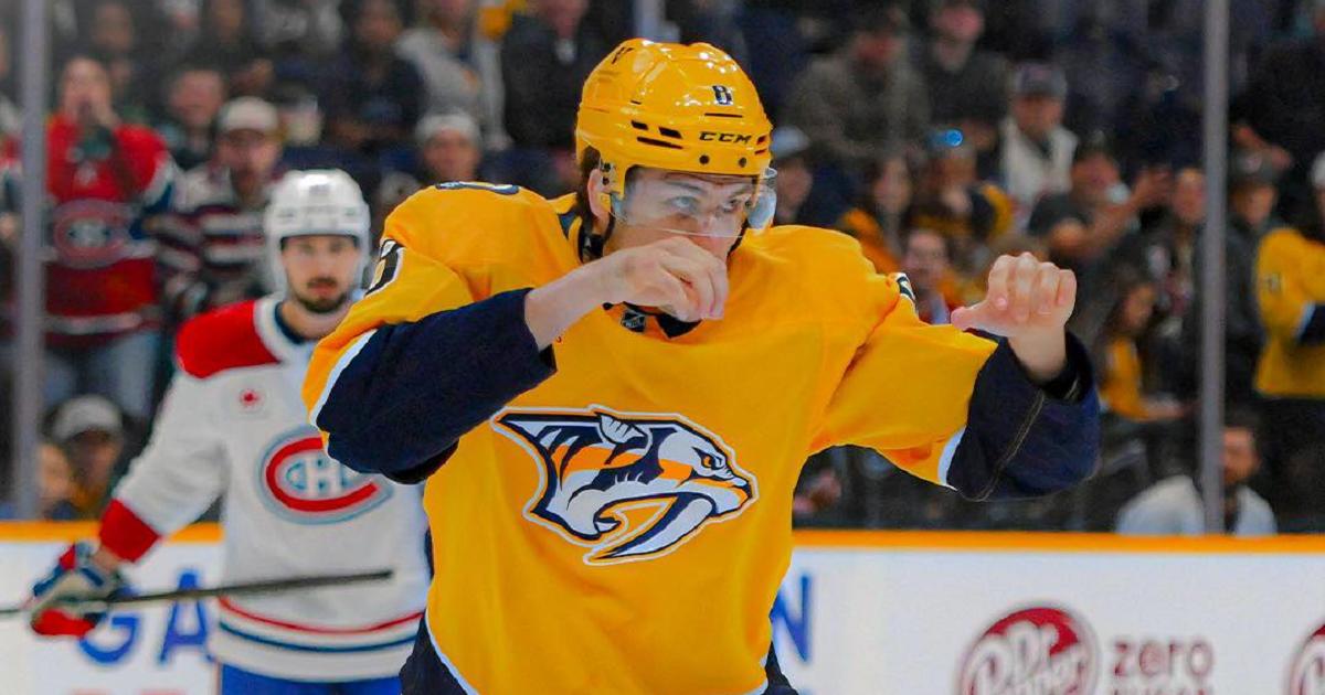 Andreas Englund-Predators-Steve Roberts-Imagn Images