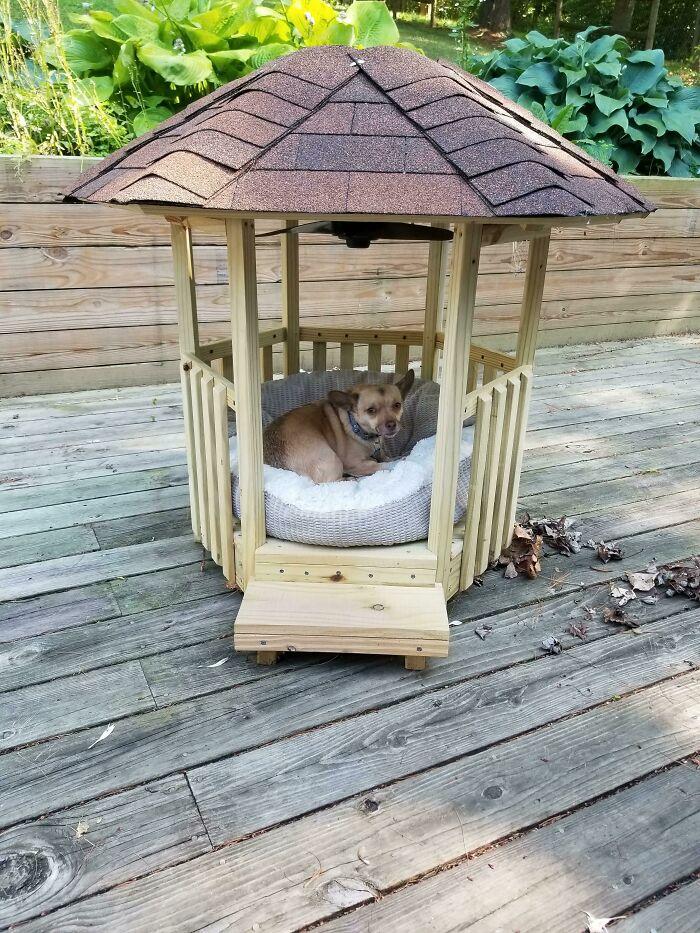 Niche chien