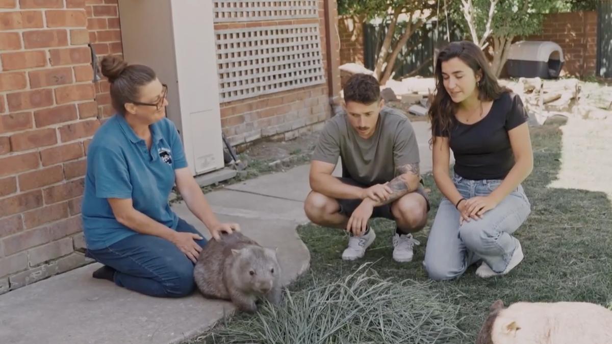 Capture d'écran D'un zoo à l'autre