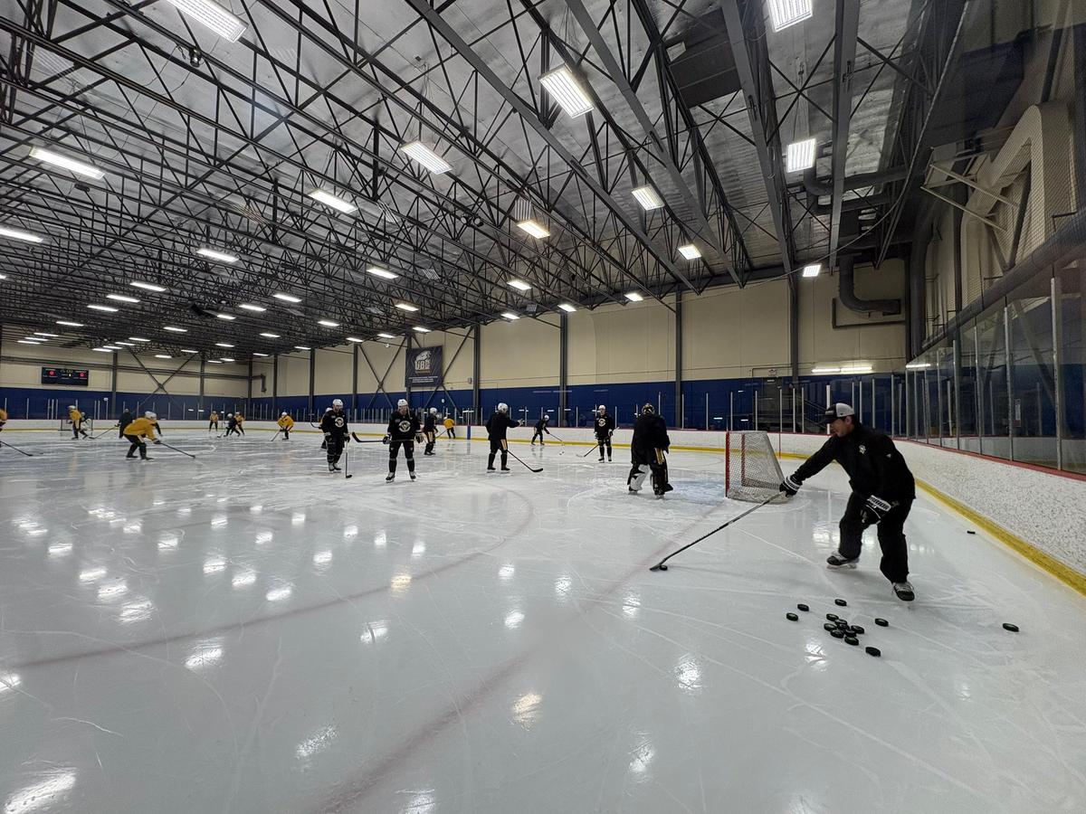 Penguins' practice. 