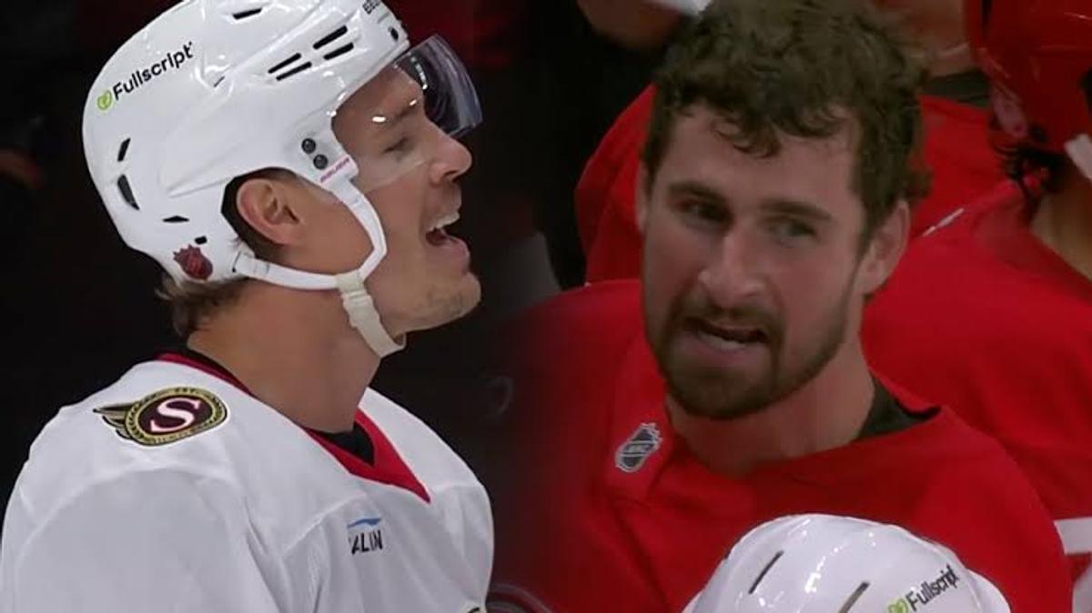 Dylan Larkin and Nick Cousins