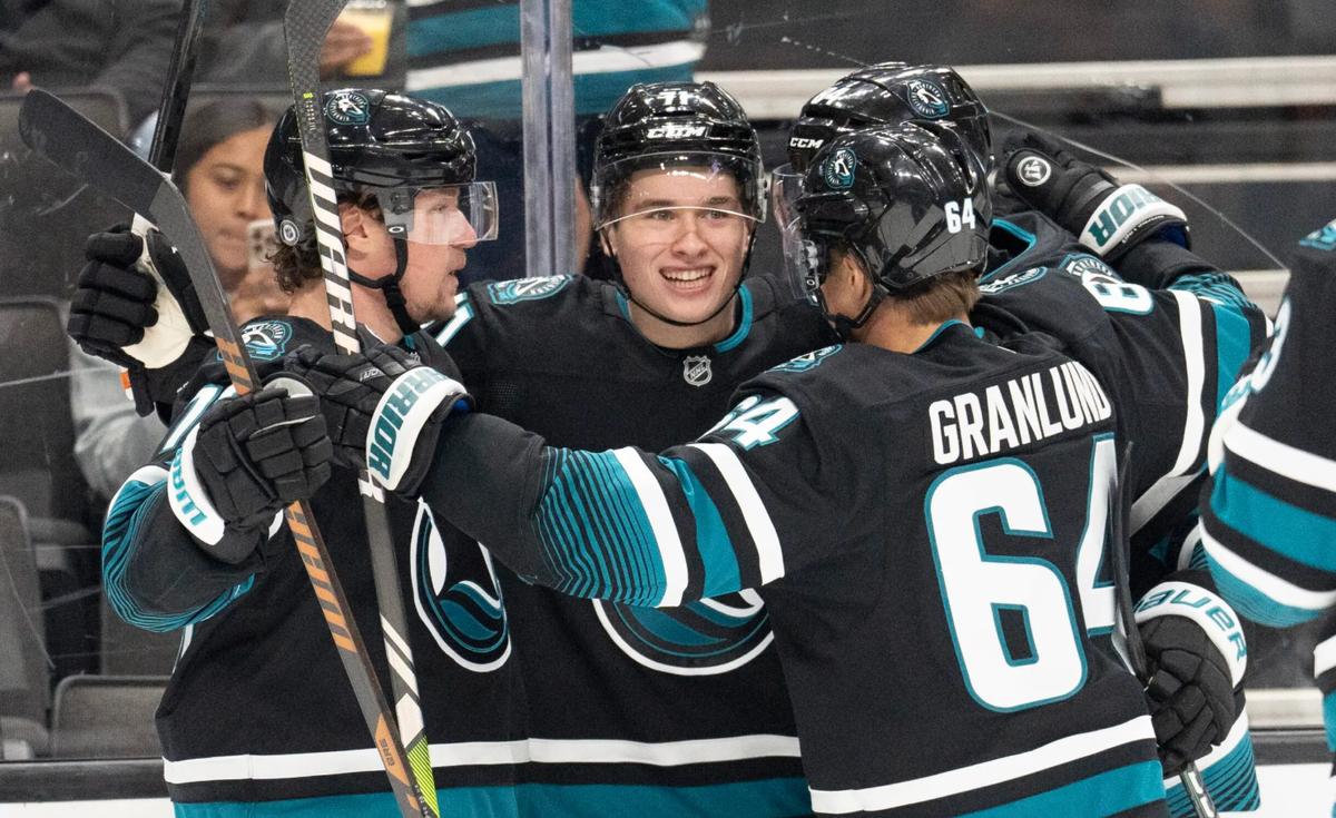 Sharks