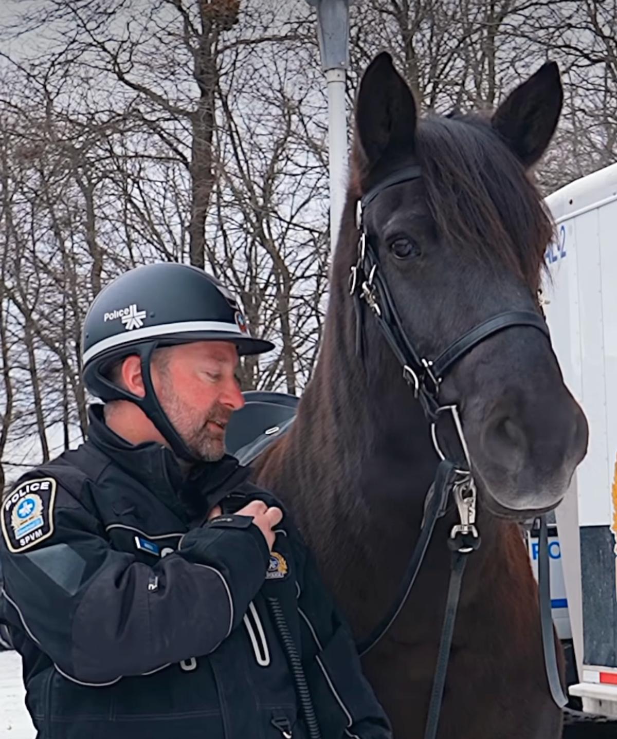 Policier du SPVM avec son cheval