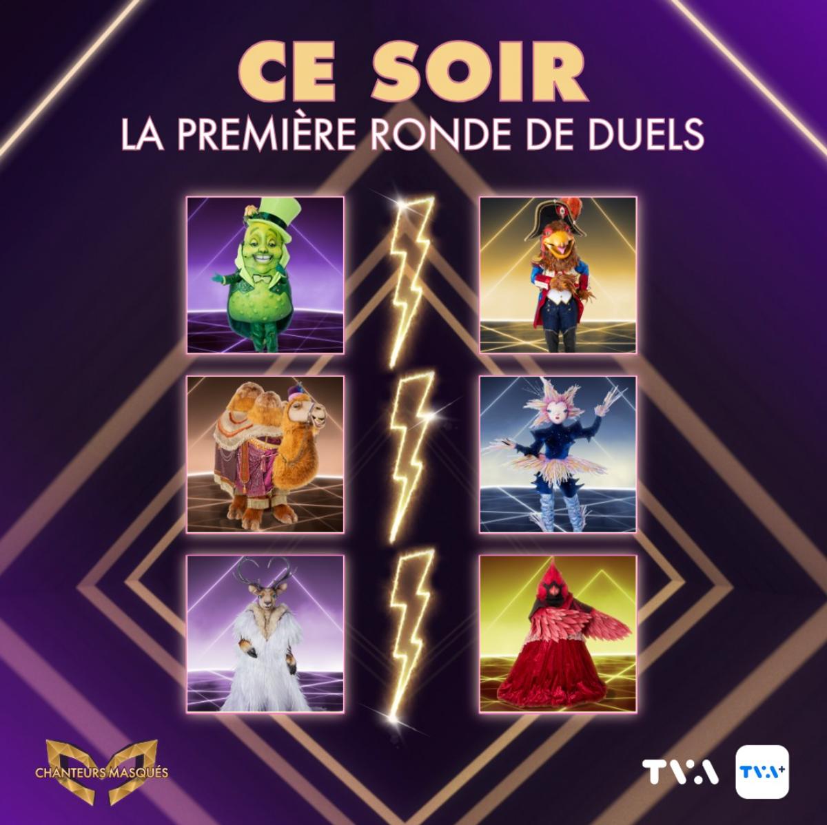 Chanteurs masqués