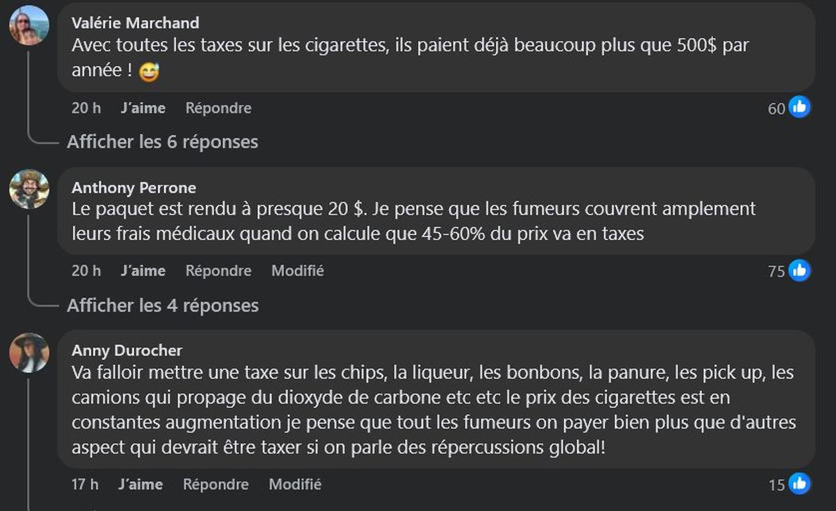 Capture d'écran Facebook - Petit Petit Gamin, commentaires des internautes