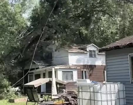 Arbre tombe sur maison