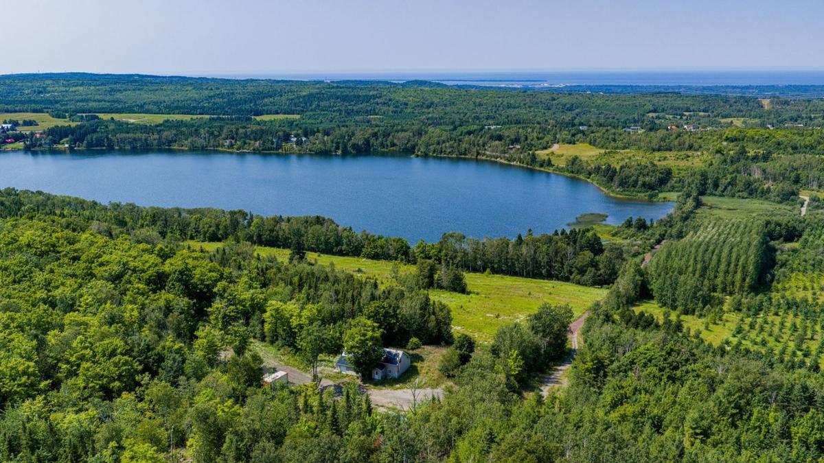 Vue d'ensemble de la propriété