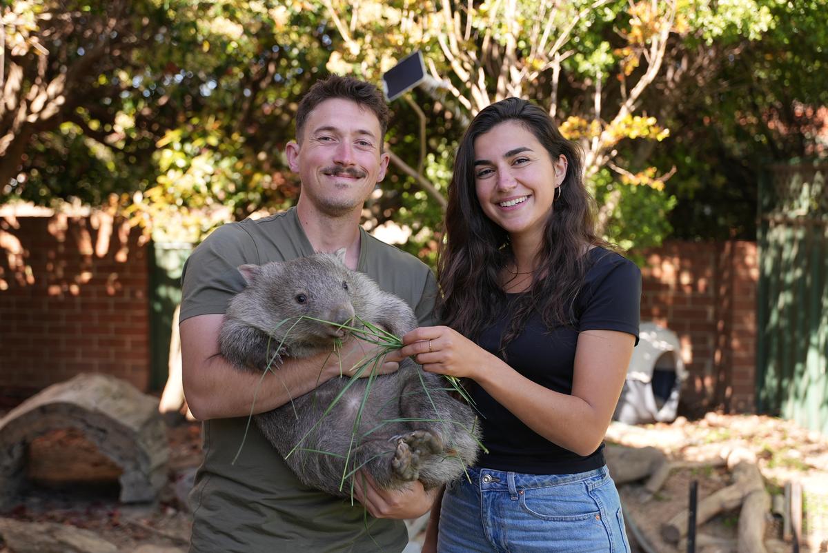 Alice et Lloyd d'Un zoo à l'autre