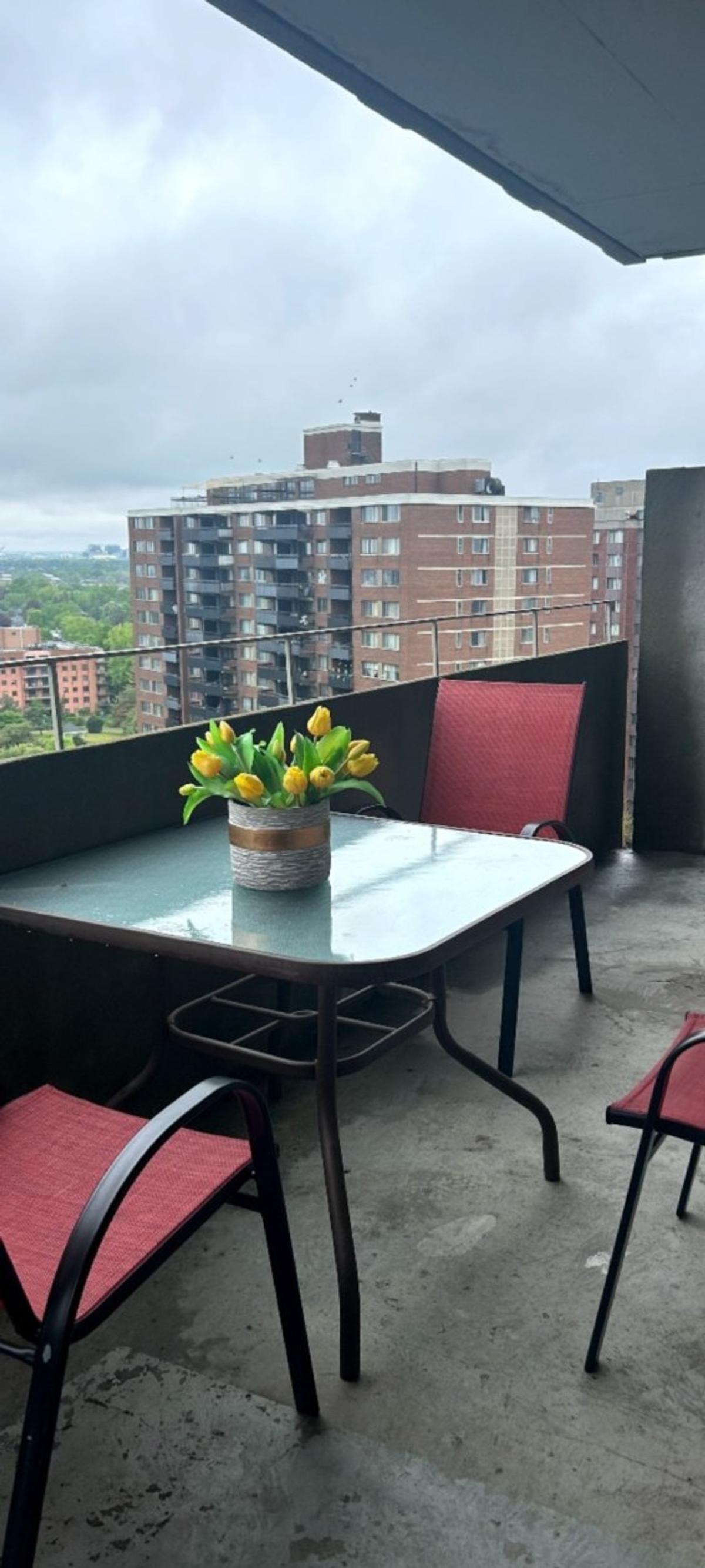 Vue depuis le balcon