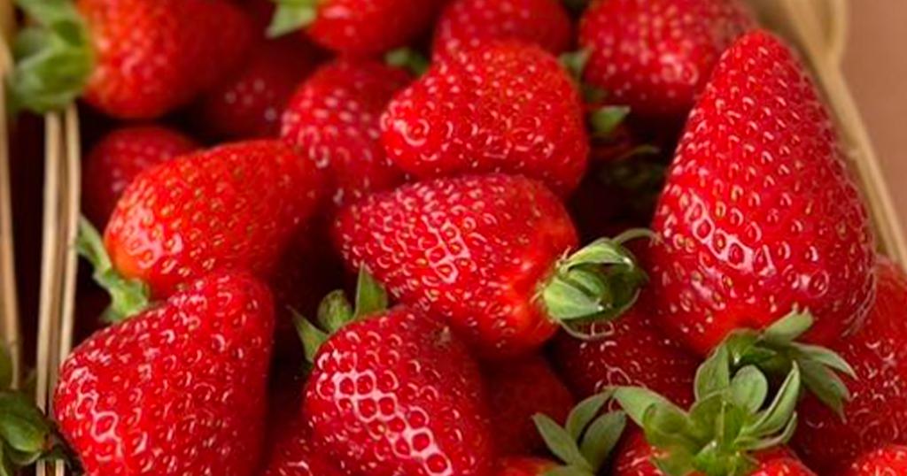 Fraises