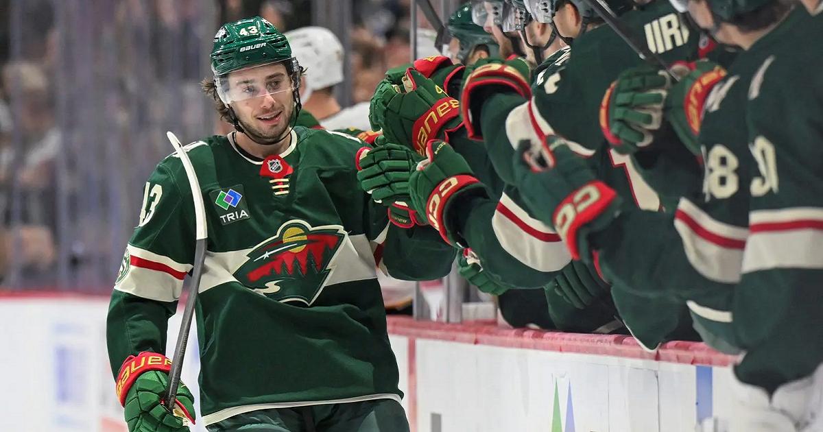 Quinn Hughes-Nick Wosika-Imagn Images