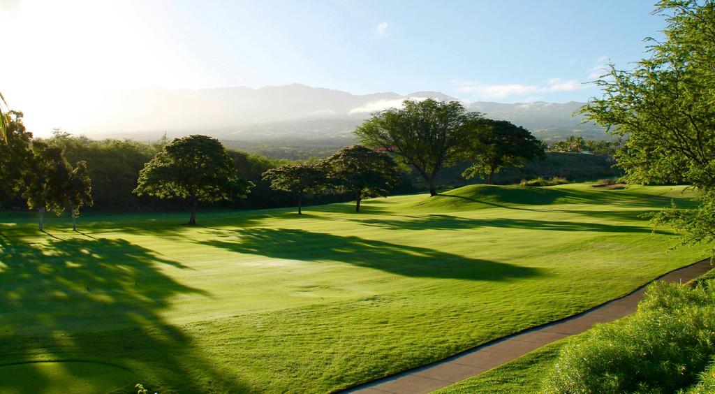 Terrain de golf