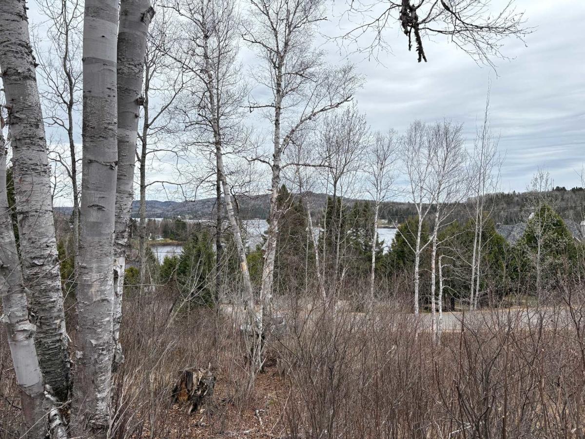 Vue dégagée vers le lac Taureau
