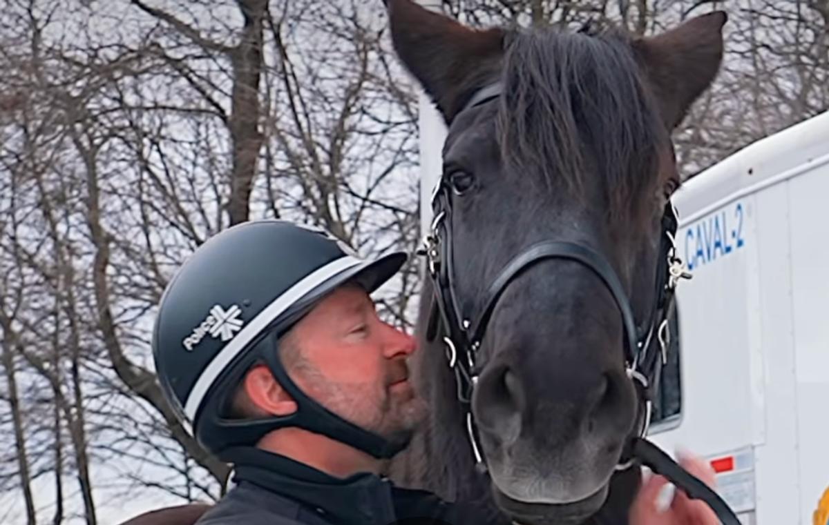 Rosco, cheval du SPVM qui part à la retraite 