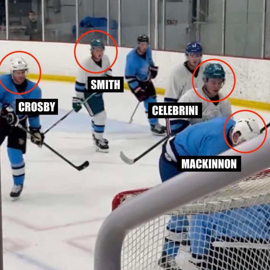Joueurs de hockey