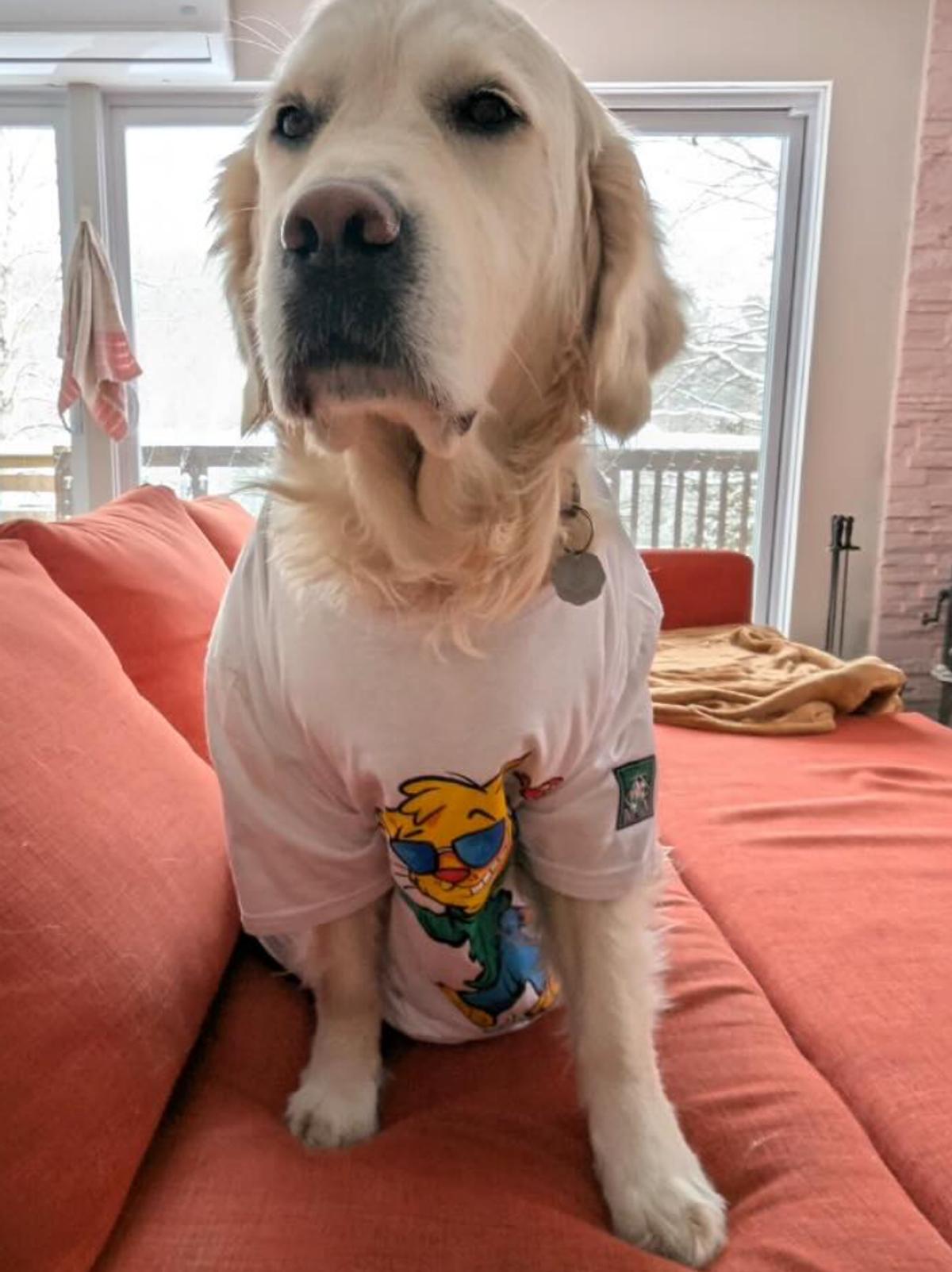 Longueuil, le chien de Florence Longpré et Pascal Cameron