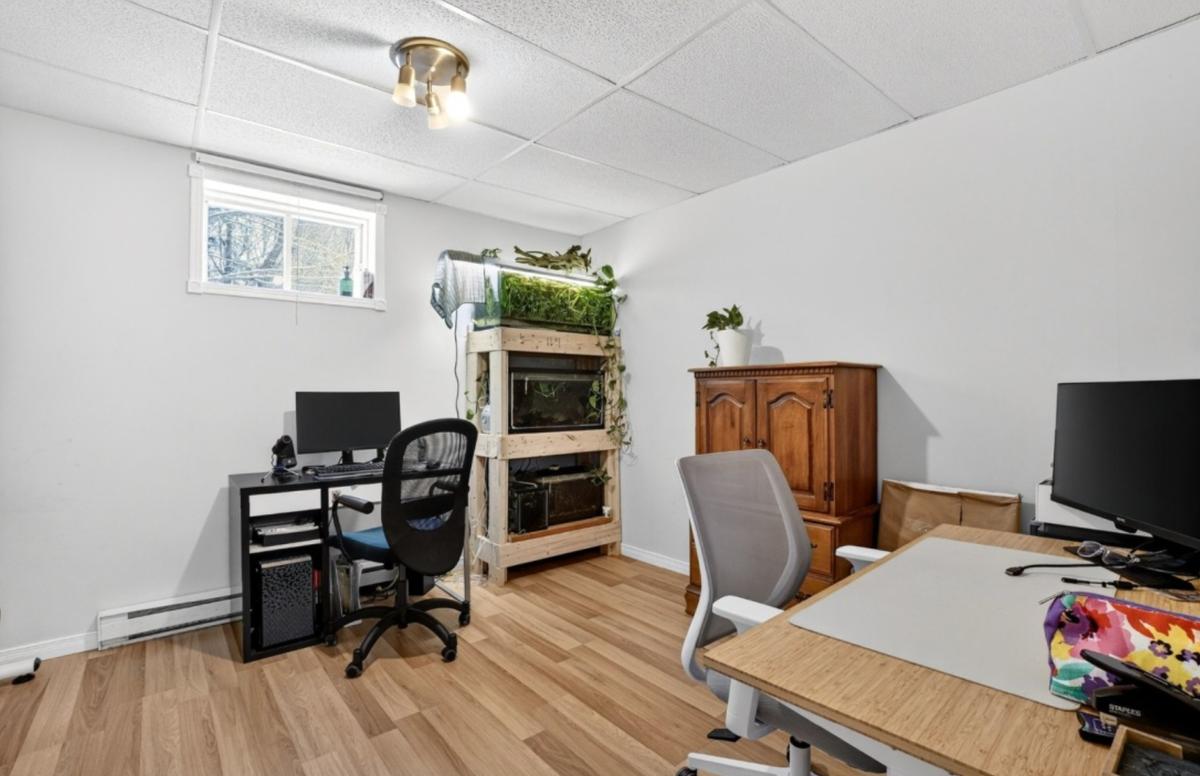Immobilier