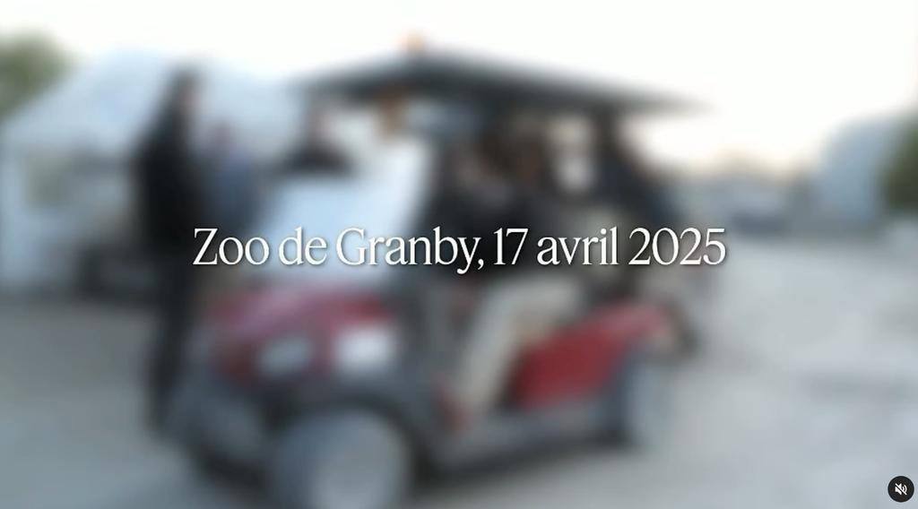 Arrivée de deux rhinocéros au Zoo de Granby