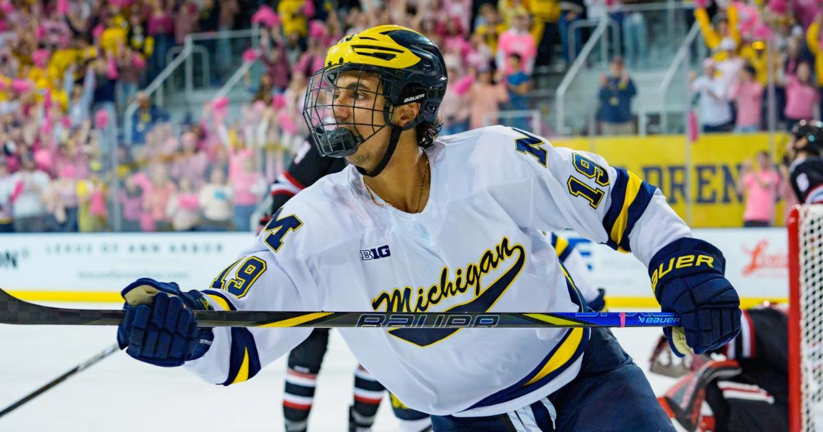 Michael Hage Michigan