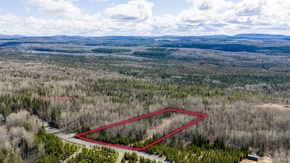 Le terrain vu en plongée, montrant la densité de la végétation