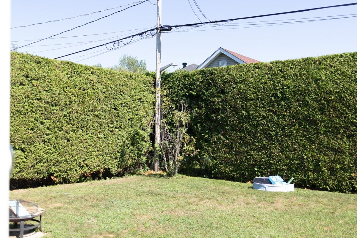 Aménagement extérieur et verdure